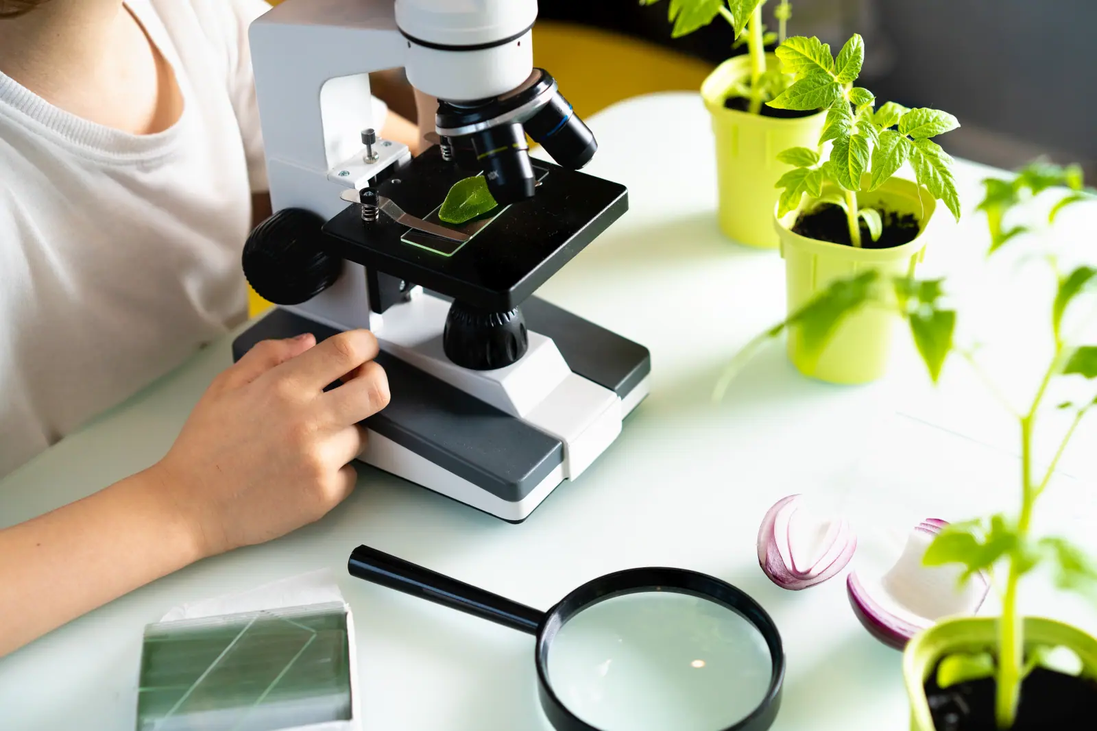 Fabryka sukcesu - przedmioty - biologia - cover